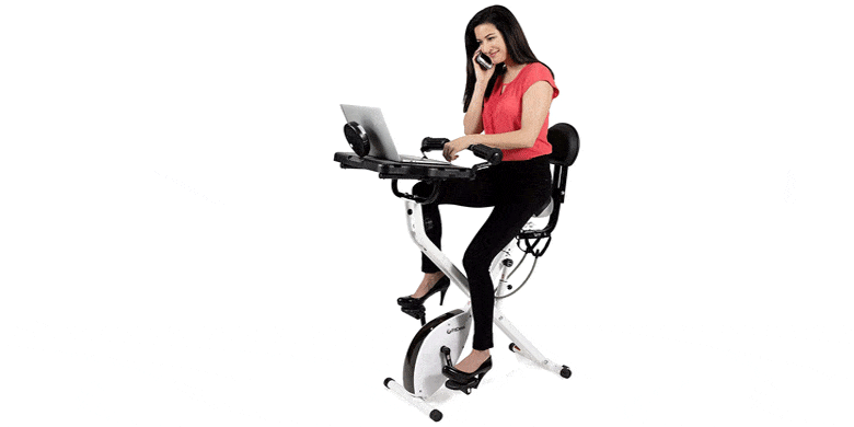 FitDesk 3.0 Adjustable Desk Bike