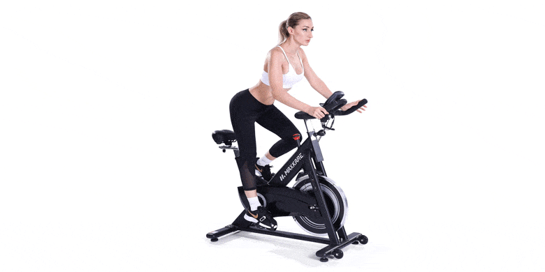 MaxKare Magnetic Exercise Bike
