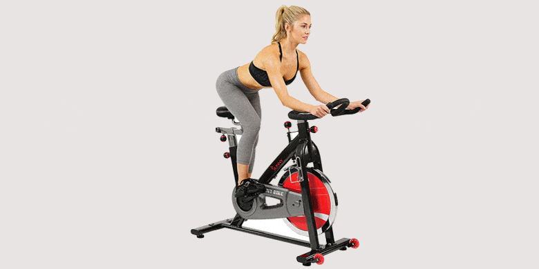 Sunny Health & Fitness SF-B1002