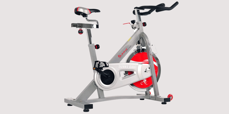 Sunny Health & Fitness SF-B901/B Pro